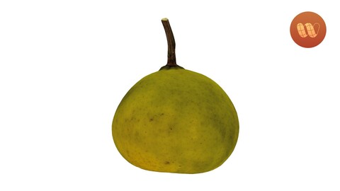 Bergamot Orange - Real-Time 3D Scanned