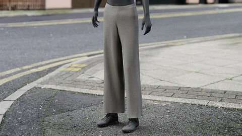 Realistic 3D model of Womens Pants 6
