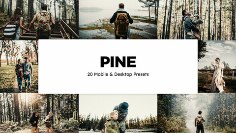 20 Pine LUTs and Lightroom Presets