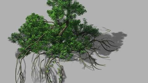 Mountain Hengshan - Dry tree 01