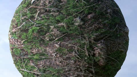 Forest Ground 6 PBR Material
