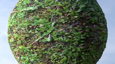 Grass 8 PBR Material