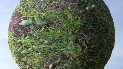 Grass 10 PBR Material