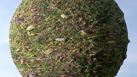 Grass 11 PBR Material