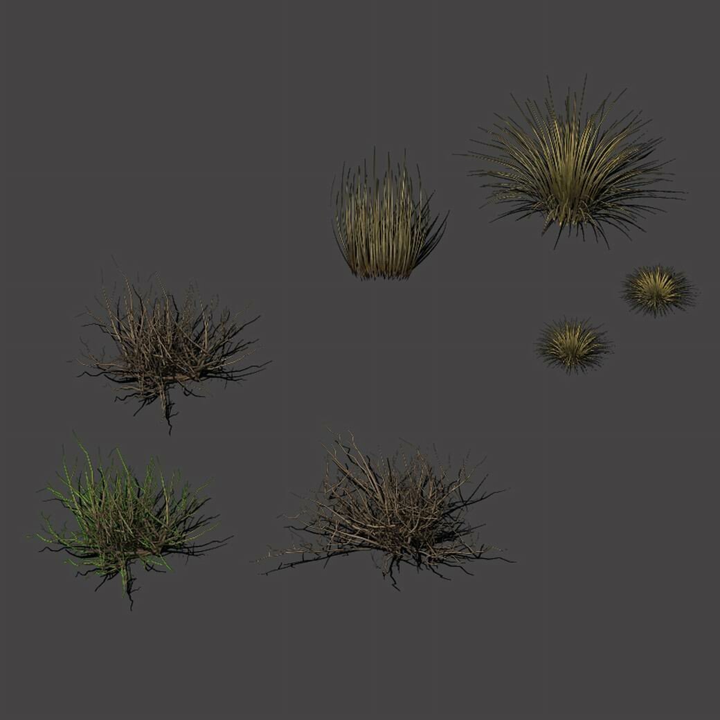 ArtStation - Desert plants - hay 272 | Resources