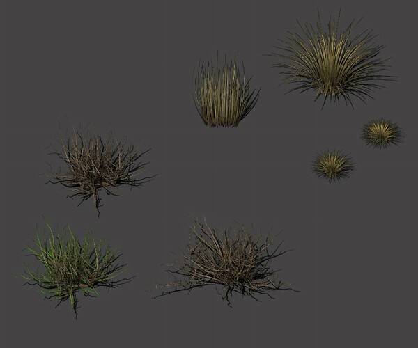 ArtStation - Desert plants - hay 272 | Resources