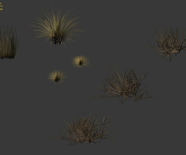 ArtStation - Desert plants - hay 272 | Resources