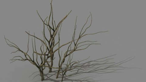 Mountain plants - shrubs 04