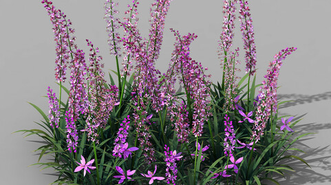 Shanglin Yuan - Plant - Flower 01