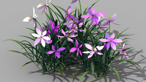 Shanglin Yuan - plants - flowers 03
