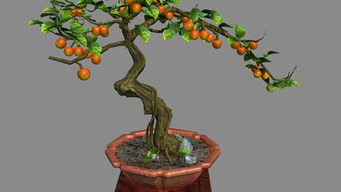 Indoor - potted plants - plants 01