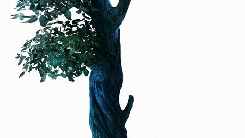 Crystal Swamp - weird tree 02