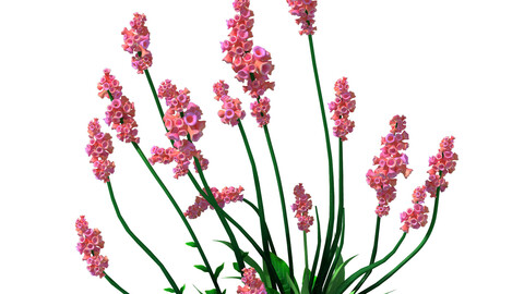 Crystal Marsh - Shrubs 01