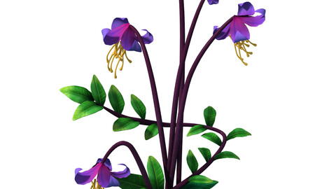 Crystal Marsh - flowers and combinations 01