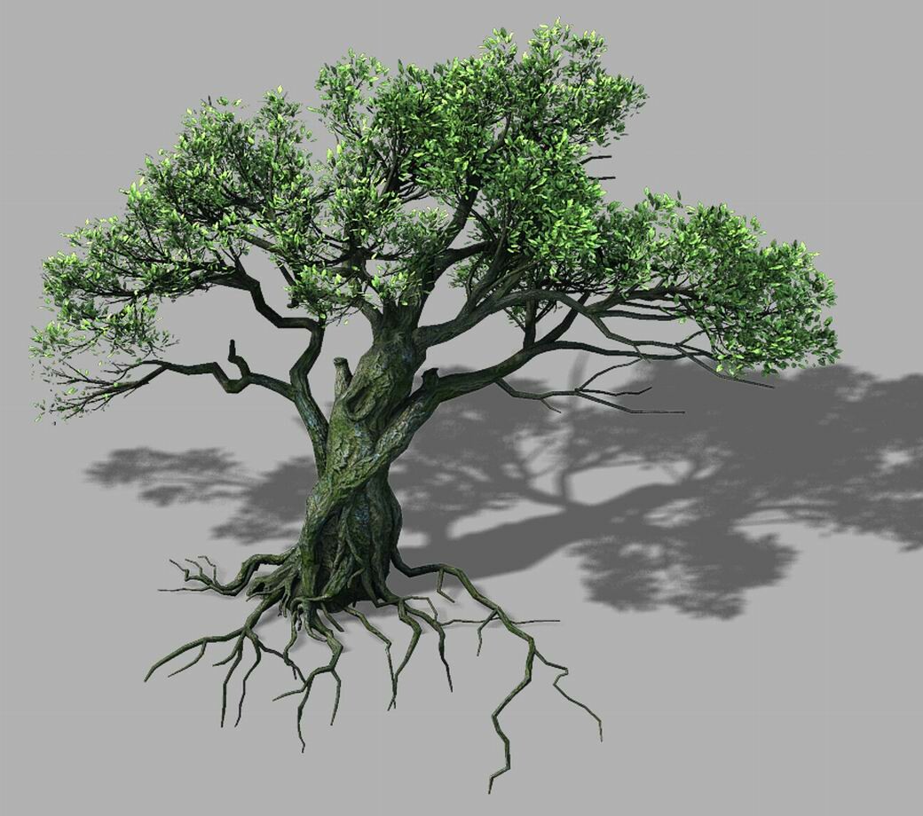 Дерево в 3 d. Дерево 3д. Дерево 3д модель. Дерево для 3д Макс. 3d модель дерева.