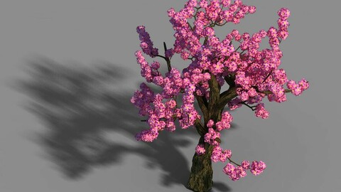 Material - Tree 04
