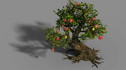 Material - tree 05