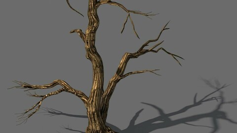 Explore the mountains - dead wood 04