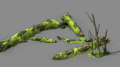 mountains - dead wood - green algae - broken 01