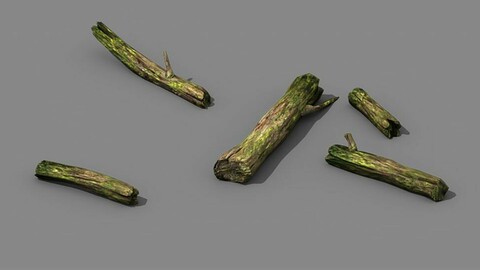 mountains - dead wood - green algae - broken 02