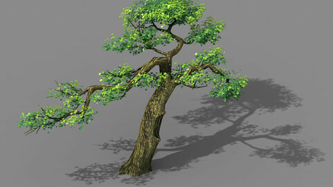 Explore the mountains - Cliff - Tree 04