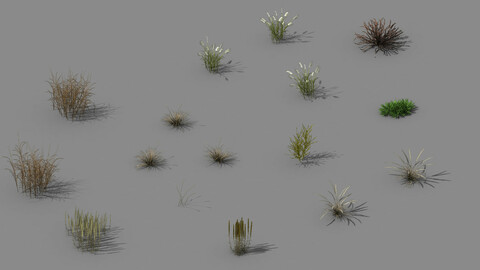 Explore the mountains - plants - weeds