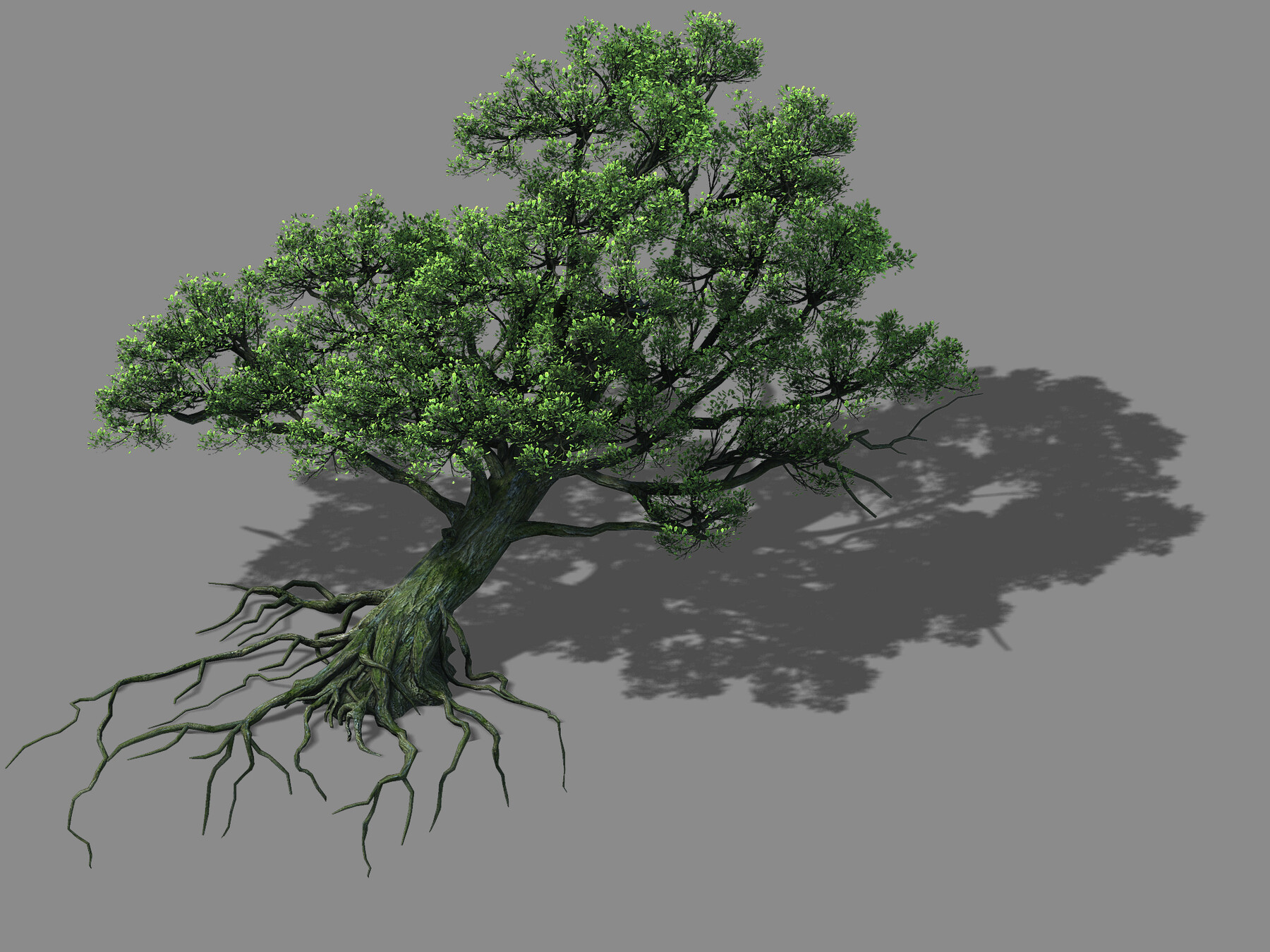 Tree 1 1. 3д модель 3ds Max ландшафт лес. Дерево модель 3д Макс 7. Дерево 3д модель Китай. Заросли 3d модель.