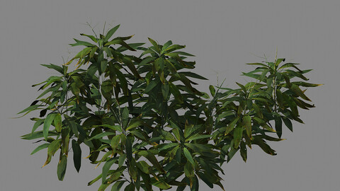 Journey to the West - bamboo shrub 03