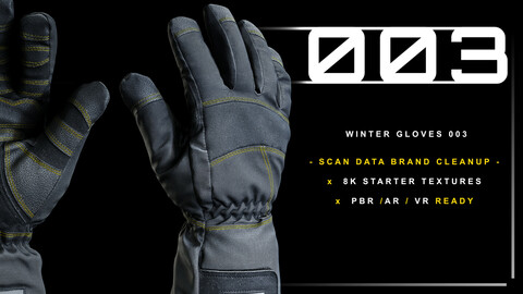 Winter Gloves 003