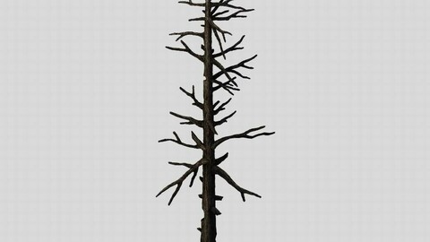 Vampire Sinnar - dead tree 1001