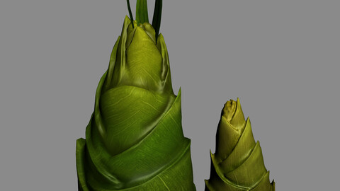Koike Town - Plants - Bamboo shoots 01