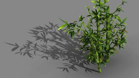 Koike Town - Plant - Bamboo 01
