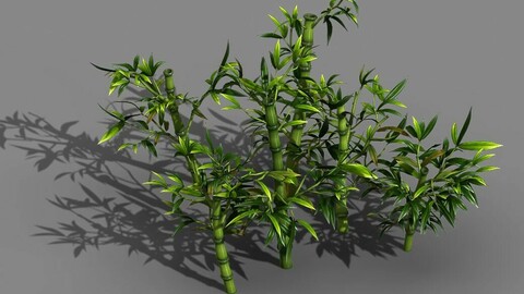 Koike Town - Plant - Bamboo 02