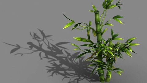 Koike Town - Plant - Bamboo 03