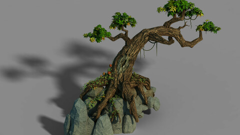 Small bamboo peak - tree 01