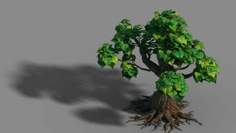 Small bamboo peak - tree 04