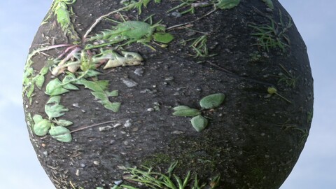 Mud Grass 1 PBR Material