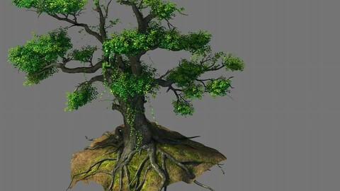 New Village - tree viewing 04