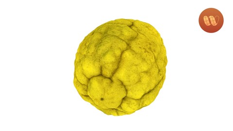 Citron Citrus medica - Real-Time 3D Scanned Model