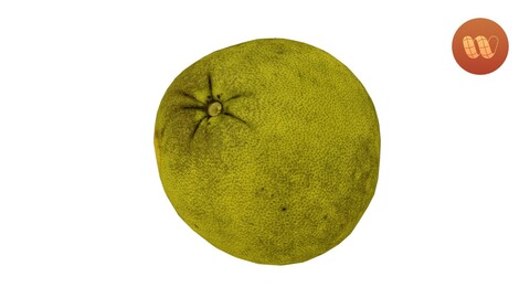 Pomelo Citrus maxima - Real-Time 3D Scanned Model