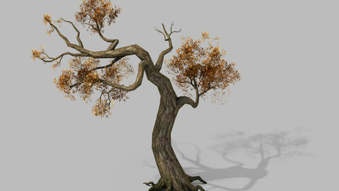 Brutal tribes - dead trees 05