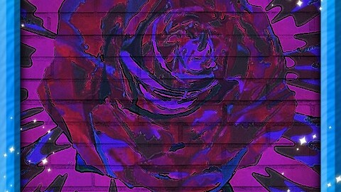 Color Rose Bloom
