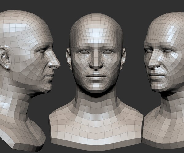 ArtStation - Man Head Base mesh 3D model 3D model | Resources
