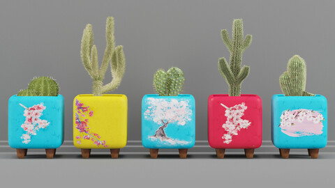 Flower set_05 cactus in colorful decorative pots_01