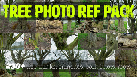 Trees Photo Reference Pack + BONUS Photogrammetry
