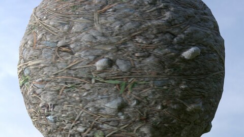 Forest Ground 13 PBR Material