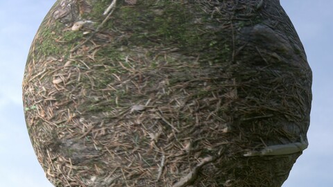 Forest Ground 14 PBR Material