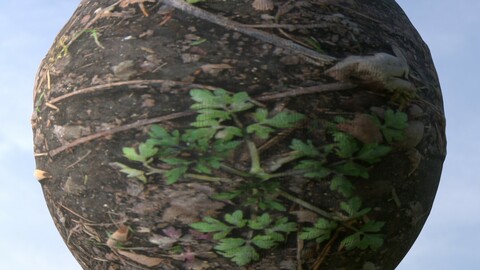 Forest Ground 15 PBR Material