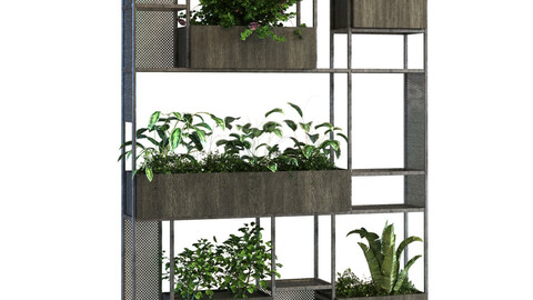 plant in box set 057