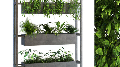 plant in box set 059